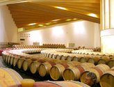 Ysios barrel room.jpg